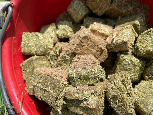 Bentonite Clay – your helper against things that you can’t see and don’t want in your horse’s feed.